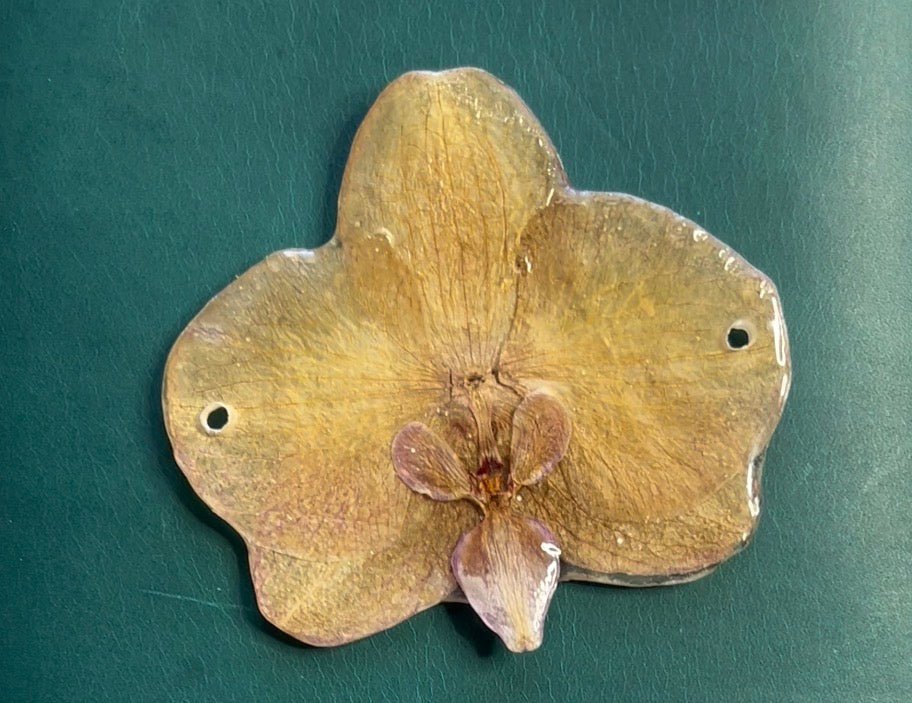 Yellow flower on green background 