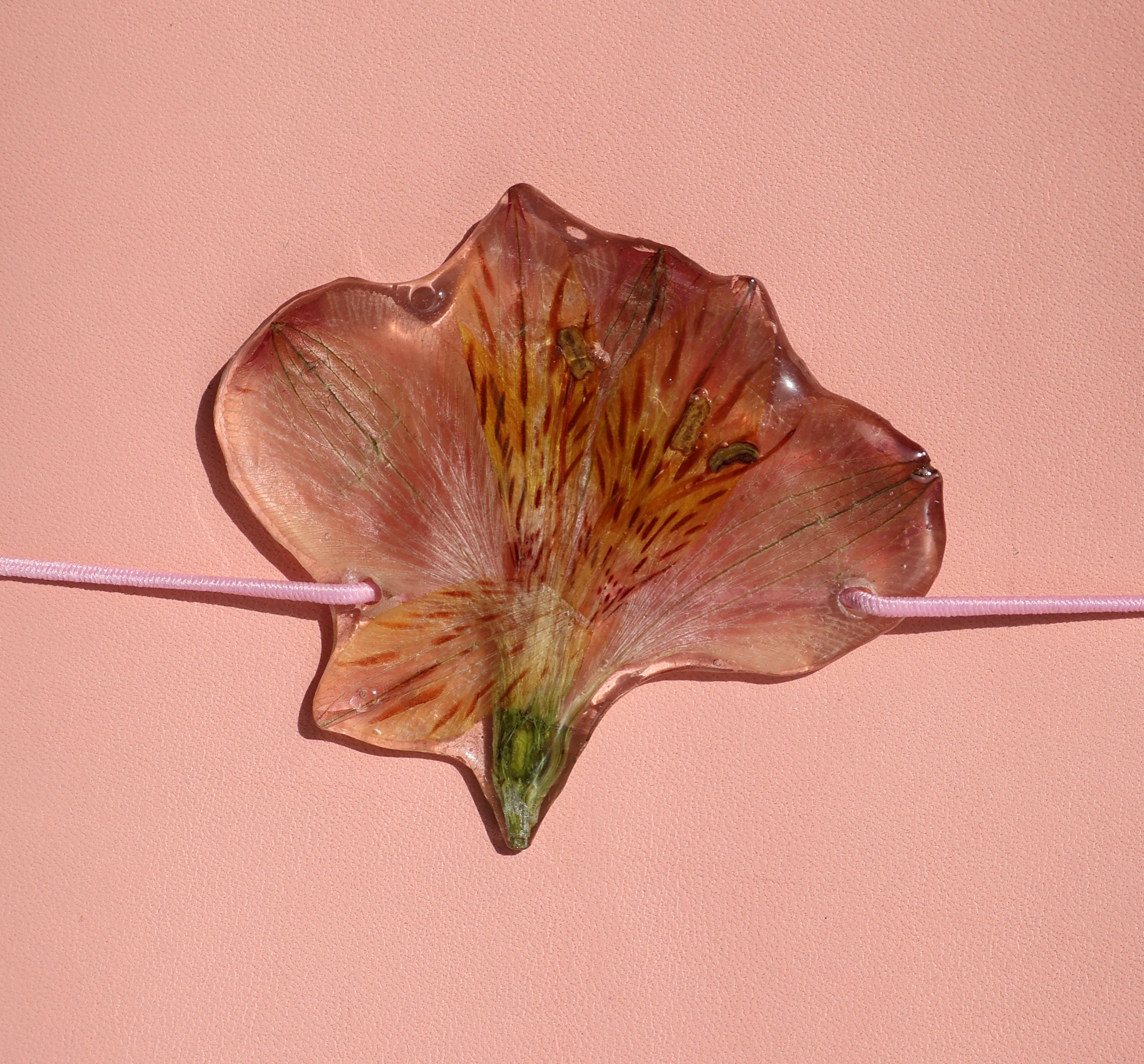 Translucent flower-shaped object on a pink background