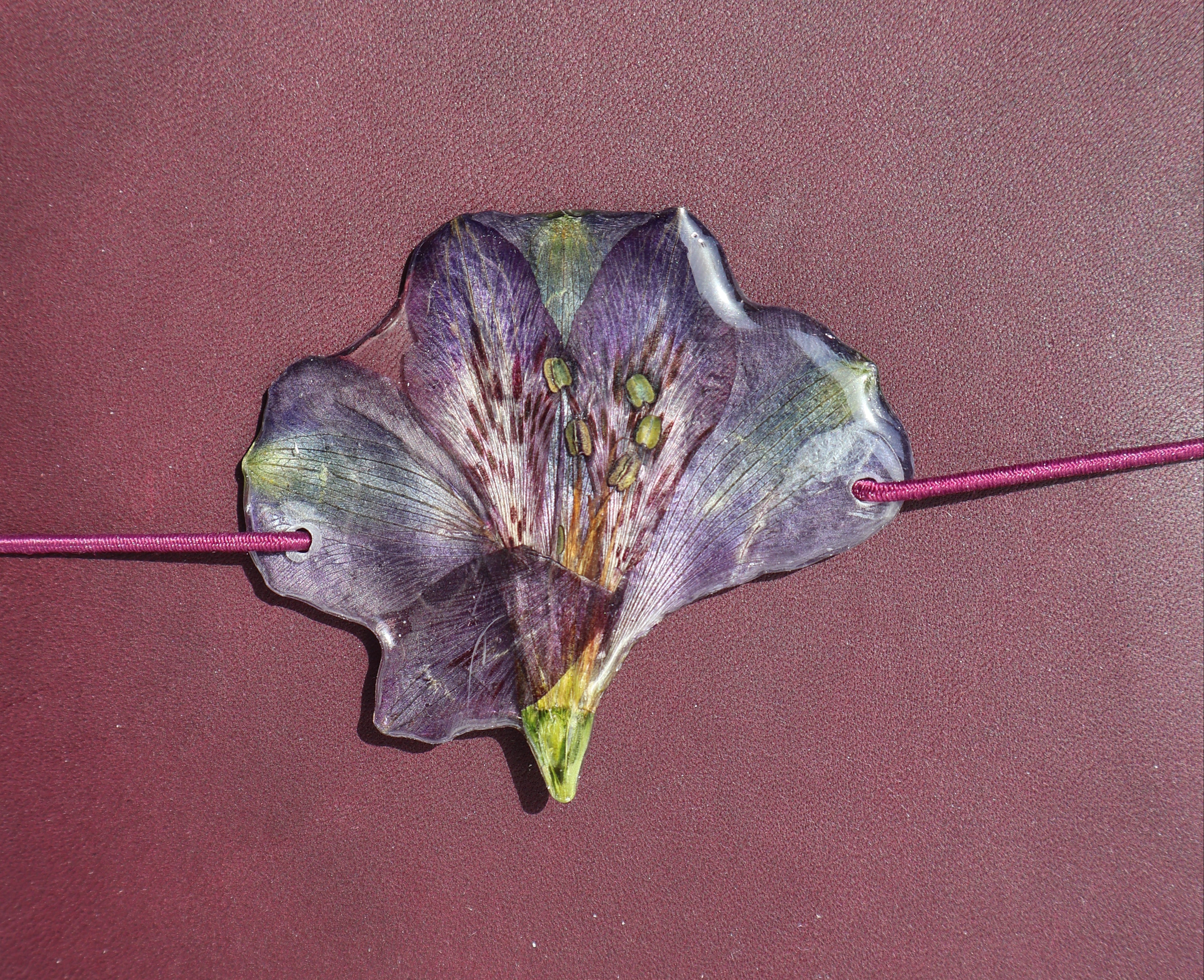 Pressed flower on a stick against a maroon background