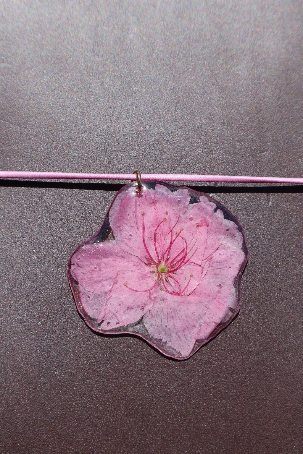 Cherry Blossom Charm