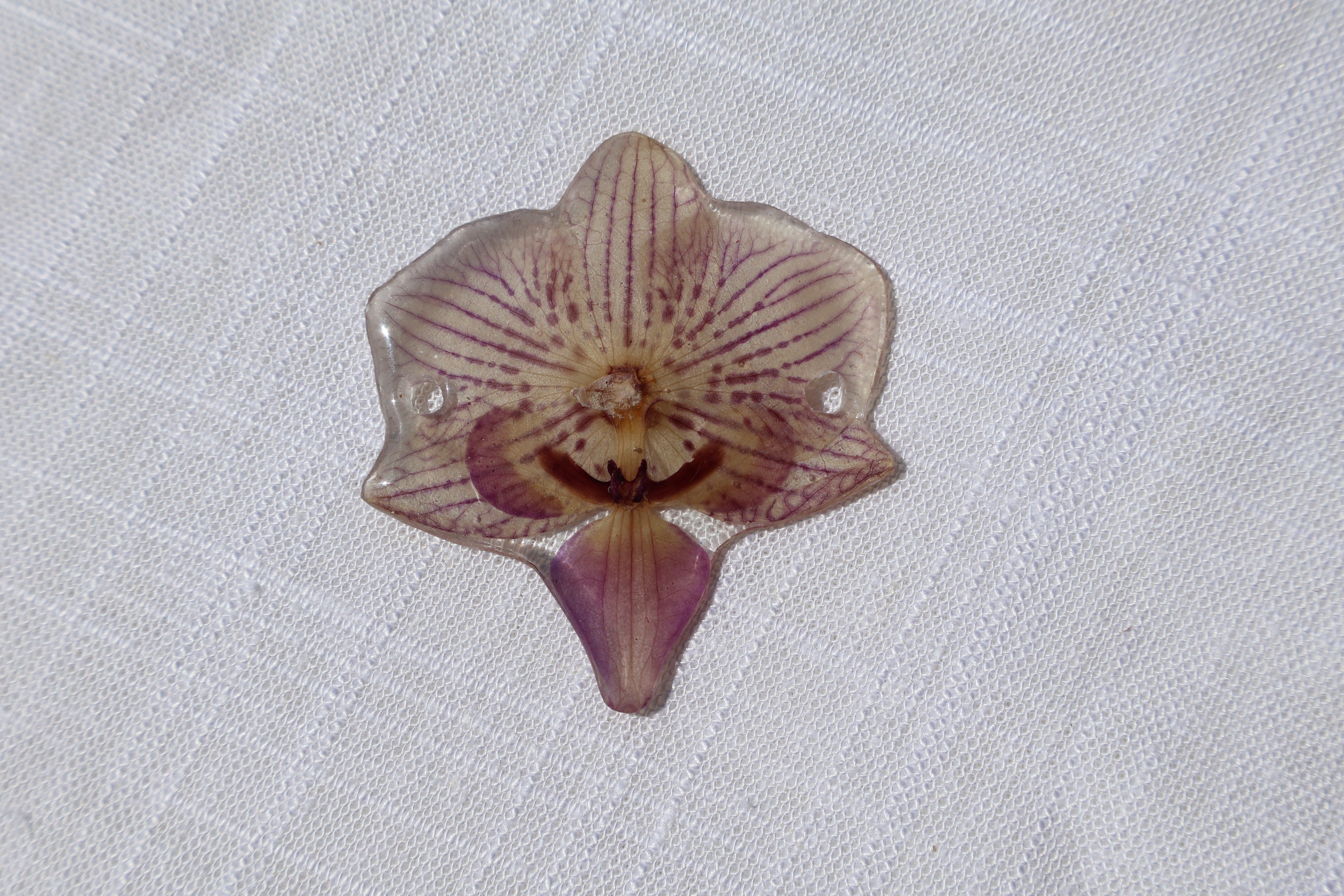 Mini Stripe Orchid Charm – Real Pressed Orchid Resin Charm