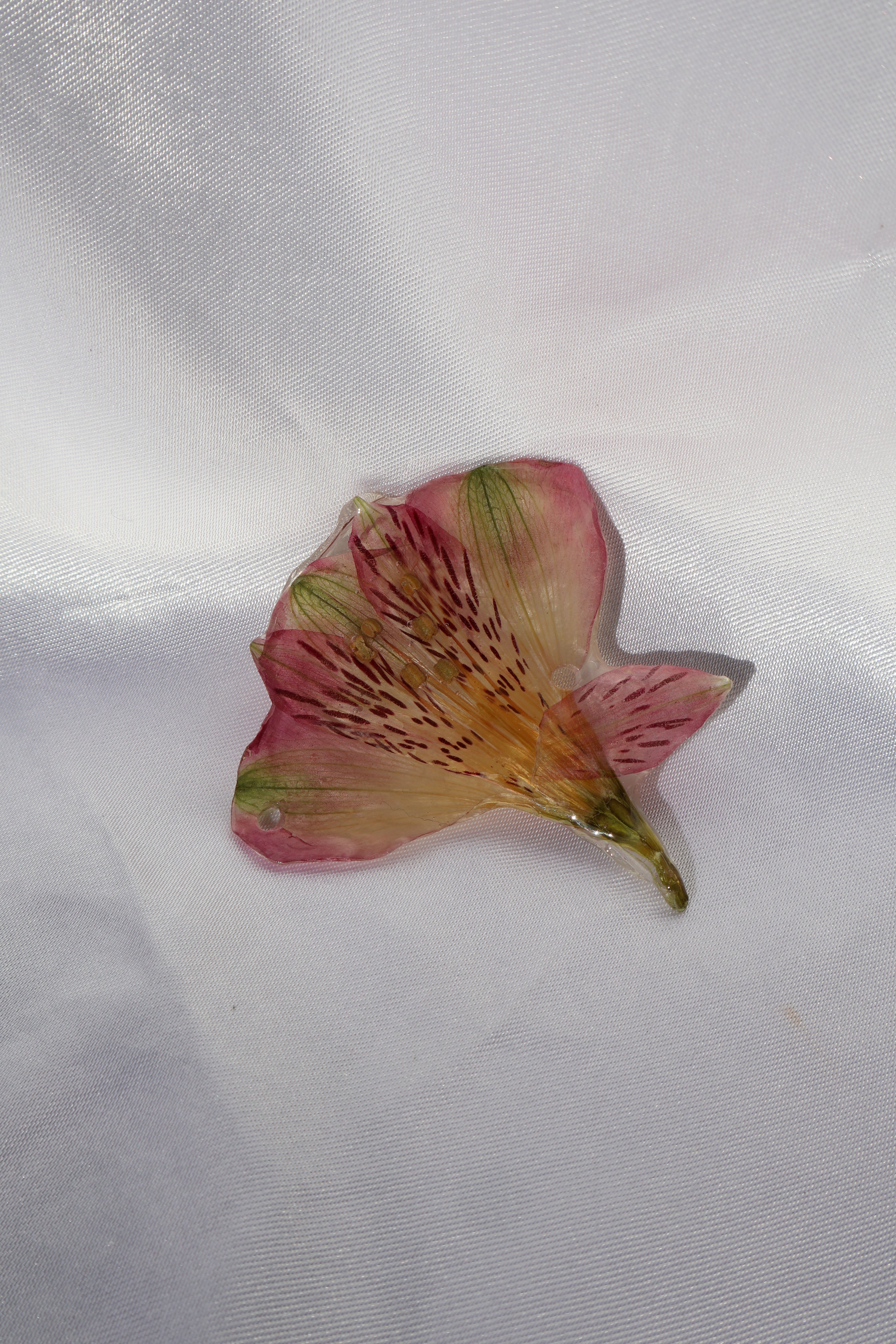 Single flower petal on a white fabric background
