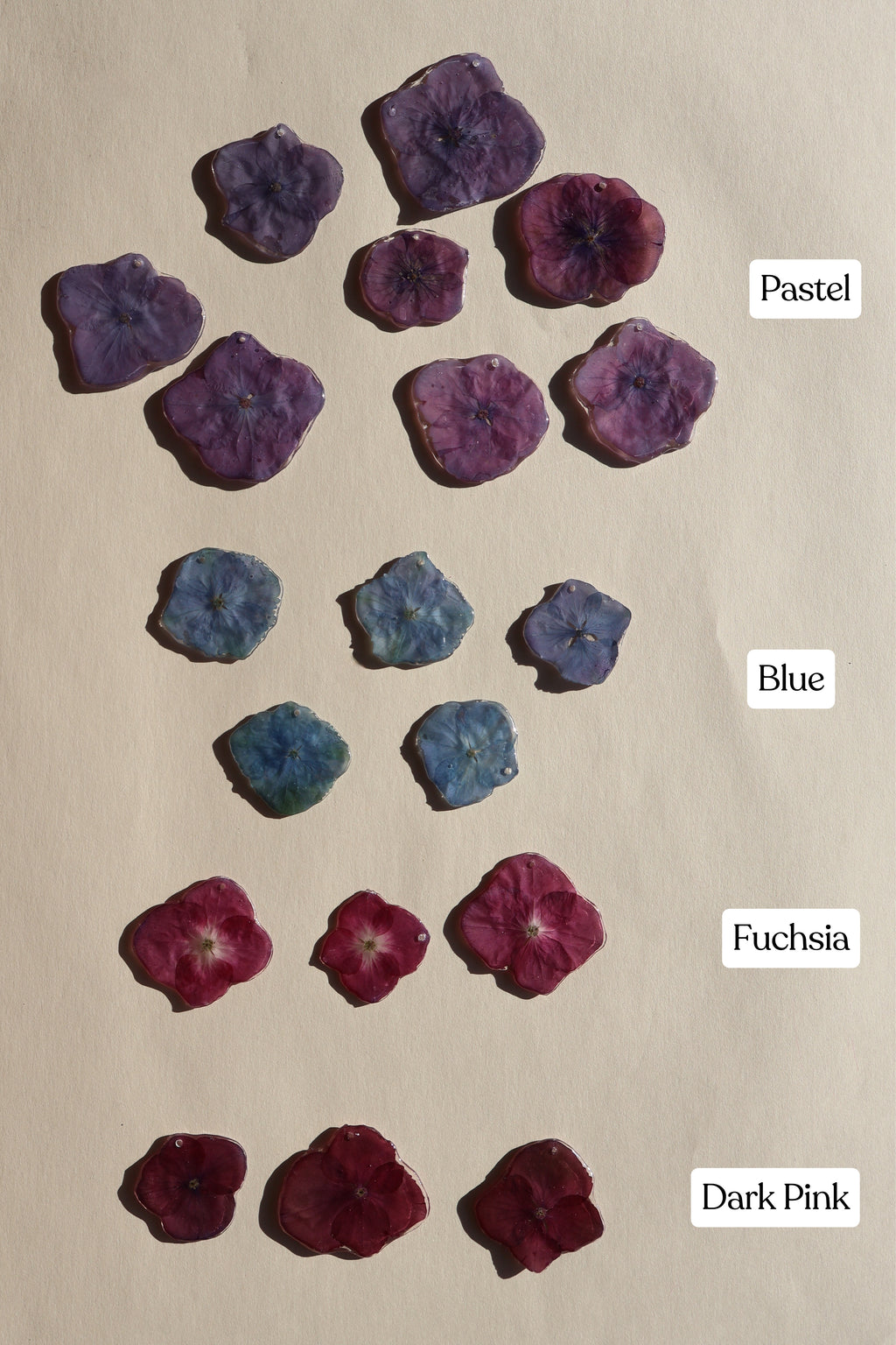 Hydrangea Charm