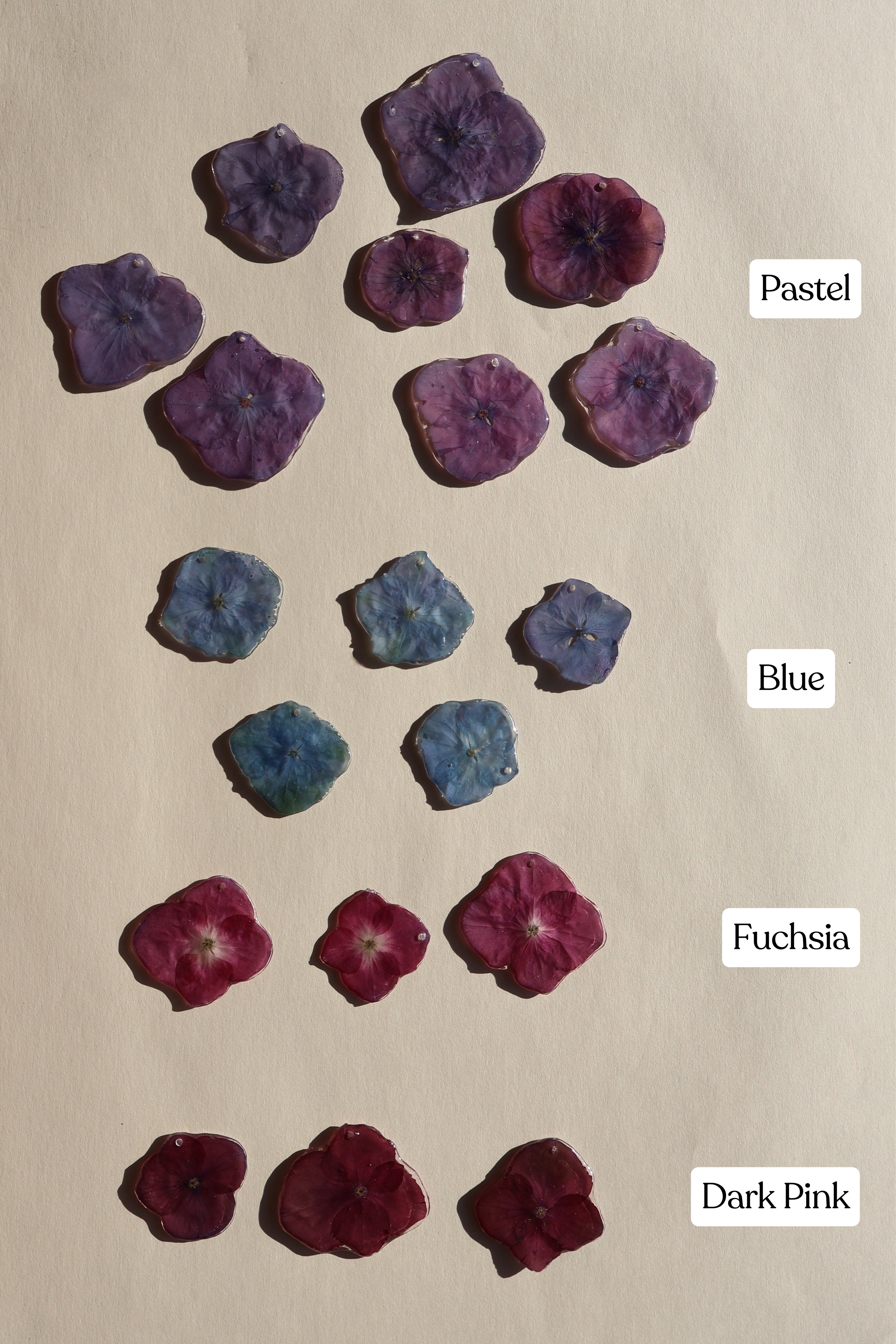 Hydrangea Charm
