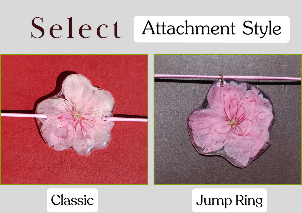 Hydrangea Charm